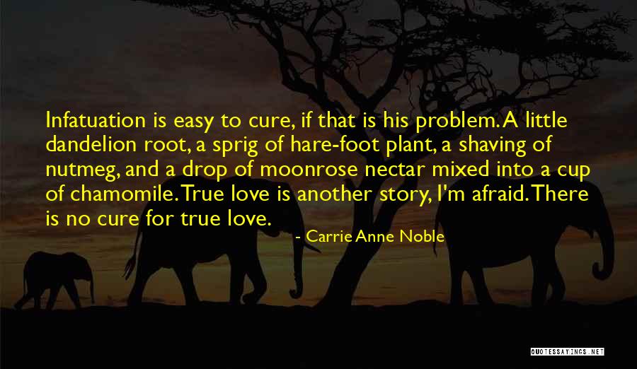 Doseki Quotes By Carrie Anne Noble Doseki Quotes By Carrie Anne Noble