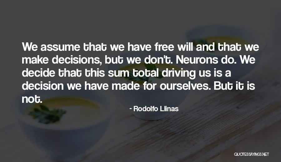 Doskora Ili Quotes By Rodolfo Llinas Doskora Ili Quotes By Rodolfo Llinas