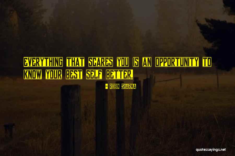 Dostan Ho Quotes By Robin Sharma Dostan Ho Quotes By Robin Sharma