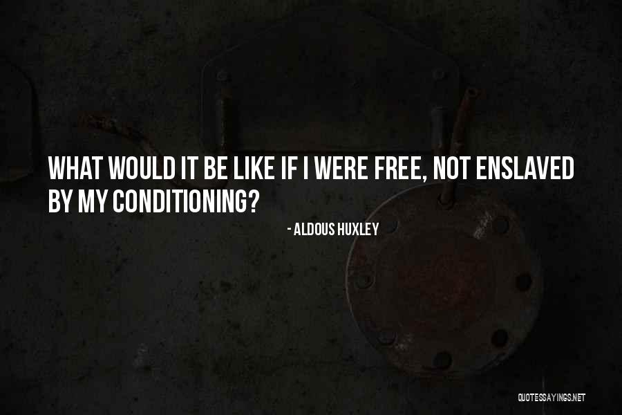 Dotd Road Quotes By Aldous Huxley Dotd Road Quotes By Aldous Huxley