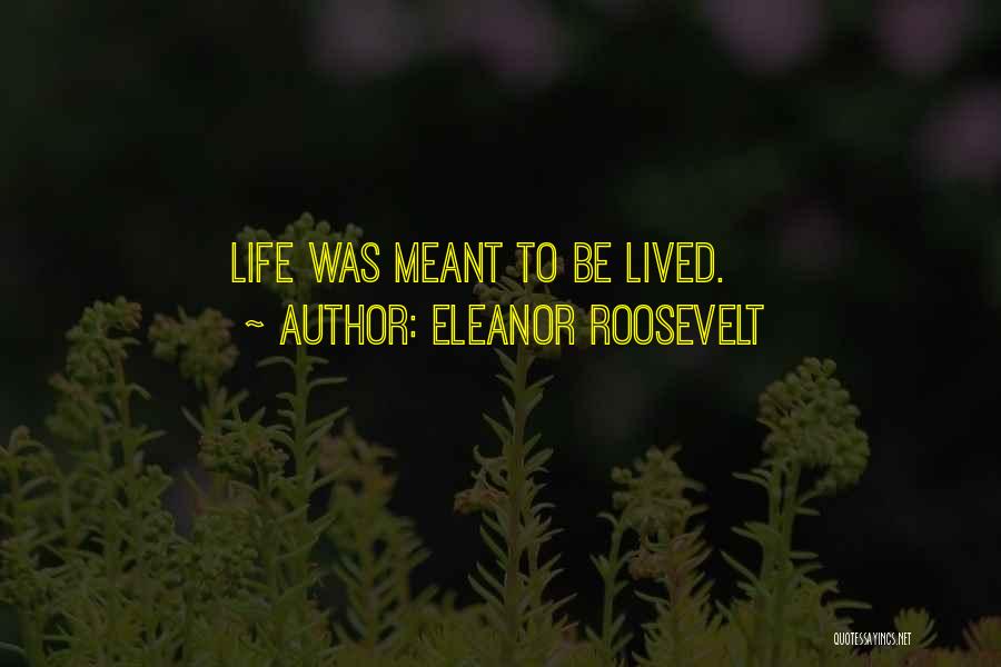 Dotta Foods Quotes By Eleanor Roosevelt
