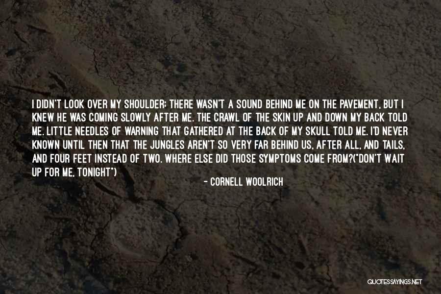 Dotykani Quotes By Cornell Woolrich Dotykani Quotes By Cornell Woolrich