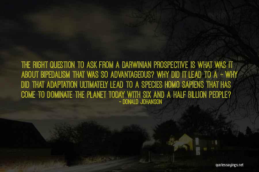 Douanier Customs Quotes By Donald Johanson Douanier Customs Quotes By Donald Johanson