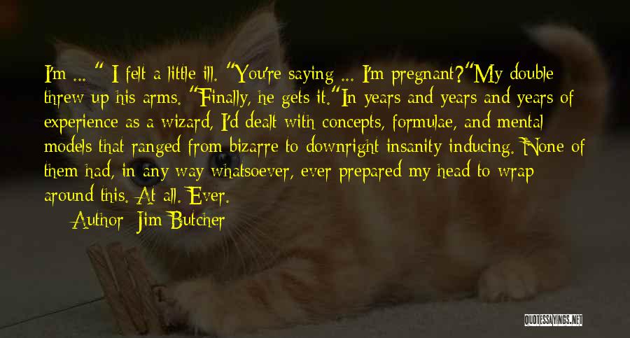Double D Quotes By Jim Butcher