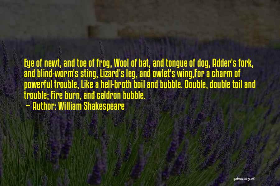 Double Double Toil And Trouble Quotes By William Shakespeare