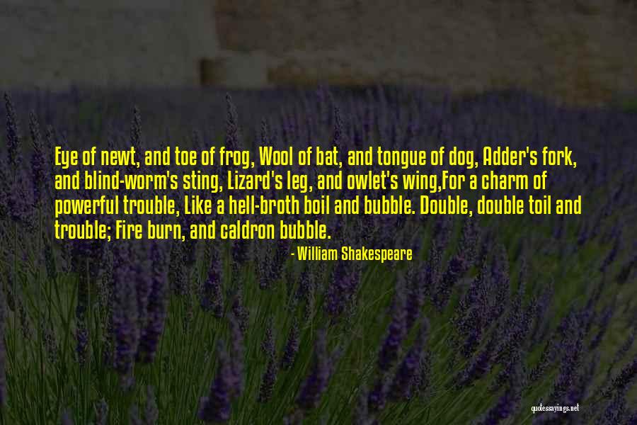 Double Double Toil And Trouble Quotes By William Shakespeare