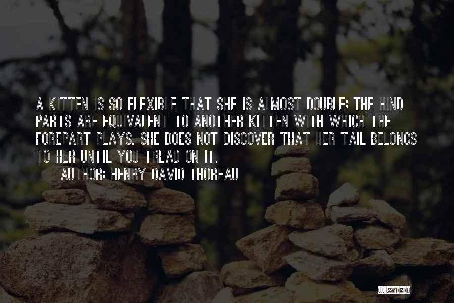 Double Plays Quotes By Henry David Thoreau