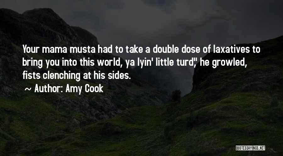 Double Take Quotes By Amy Cook