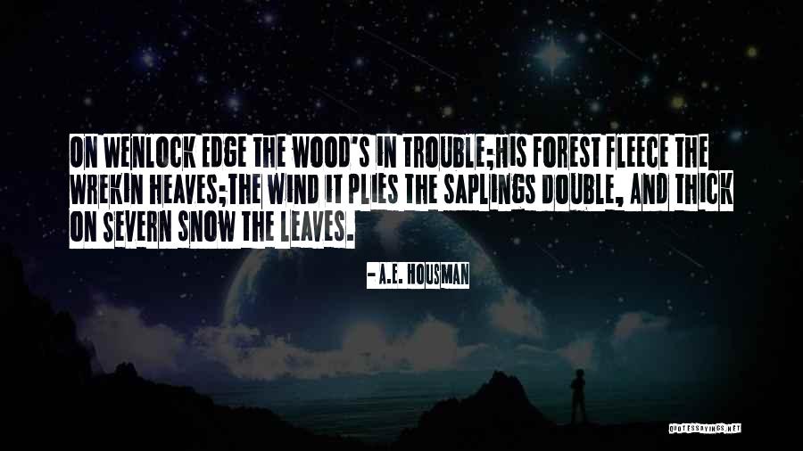 Double The Trouble Quotes By A.E. Housman Double The Trouble Quotes By A.E. Housman
