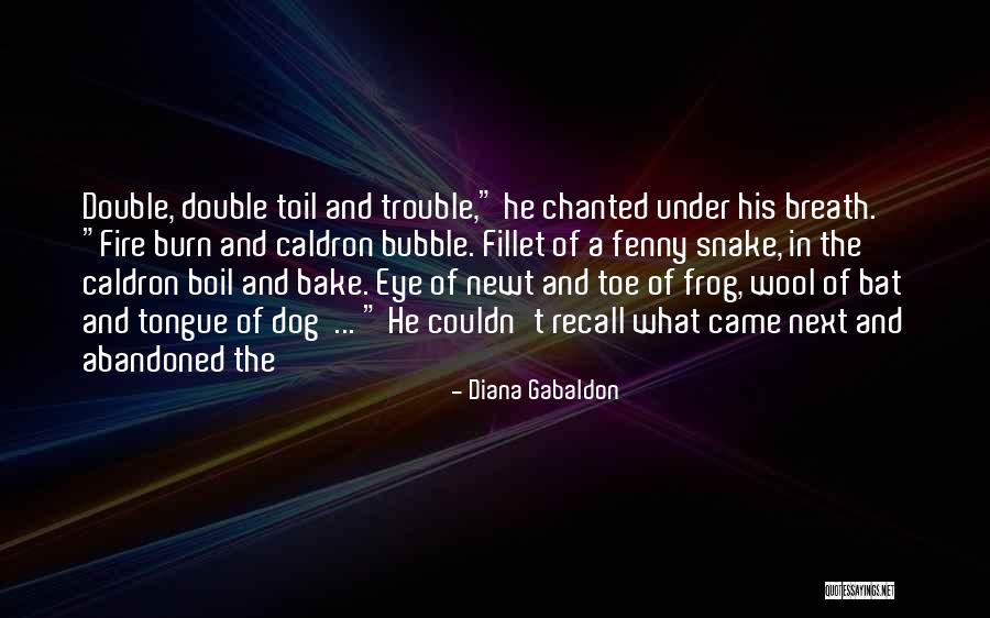 Double The Trouble Quotes By Diana Gabaldon Double The Trouble Quotes By Diana Gabaldon