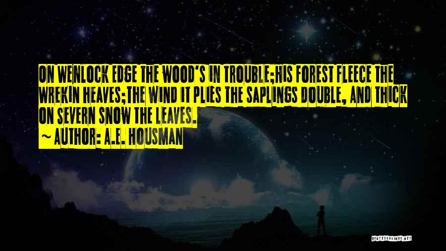 Double Trouble Quotes By A.E. Housman