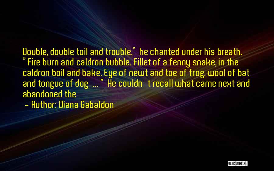 Double Trouble Quotes By Diana Gabaldon