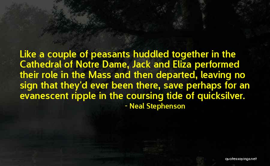 Doublette Crepe Quotes By Neal Stephenson Doublette Crepe Quotes By Neal Stephenson