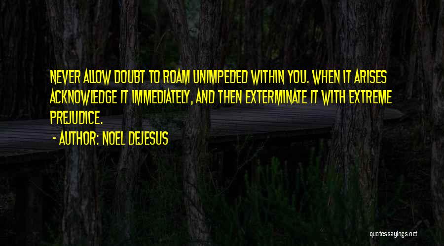 Doubt And Success Quotes By Noel DeJesus