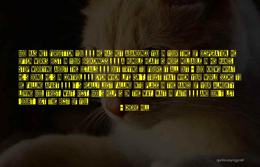 Doubt And Trust Quotes By Cherie Hill Doubt And Trust Quotes By Cherie Hill