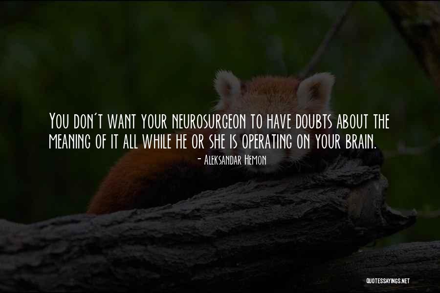 Doubt The Quotes By Aleksandar Hemon Doubt The Quotes By Aleksandar Hemon