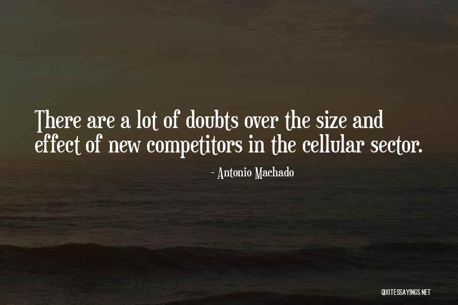 Doubt The Quotes By Antonio Machado Doubt The Quotes By Antonio Machado