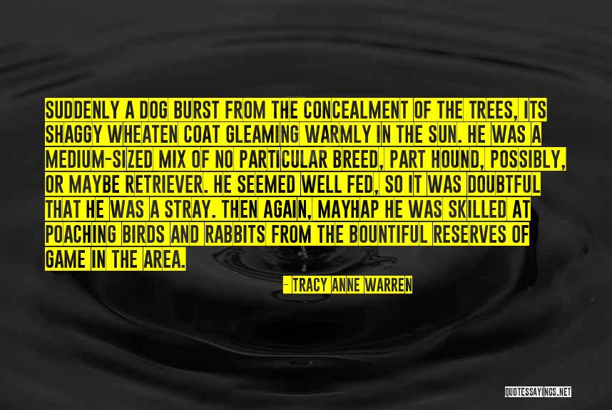 Doubtful Quotes By Tracy Anne Warren Doubtful Quotes By Tracy Anne Warren