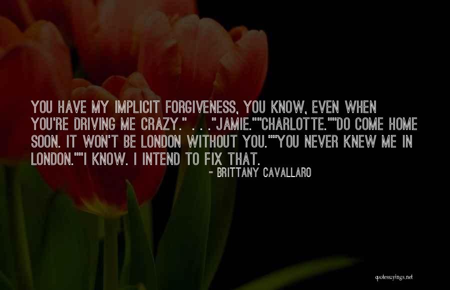Doughbelly Stray Quotes By Brittany Cavallaro Doughbelly Stray Quotes By Brittany Cavallaro