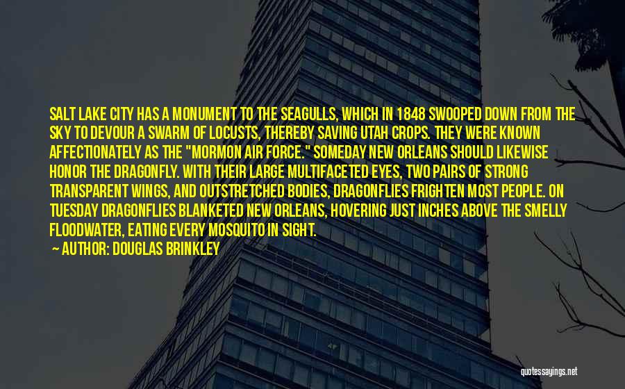 Douglas Brinkley Quotes 610047