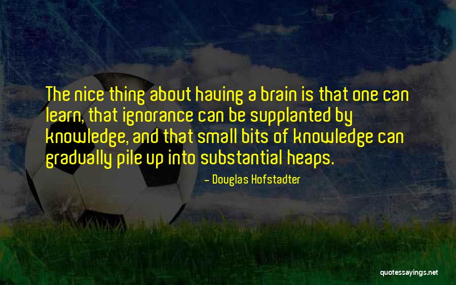 Douglas Hofstadter Quotes 1139707