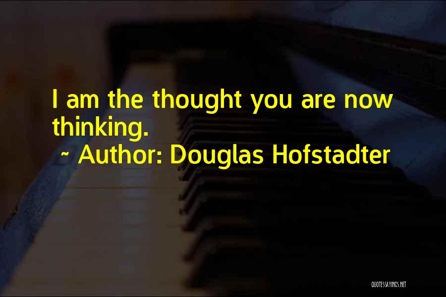 Douglas Hofstadter Quotes 1464197