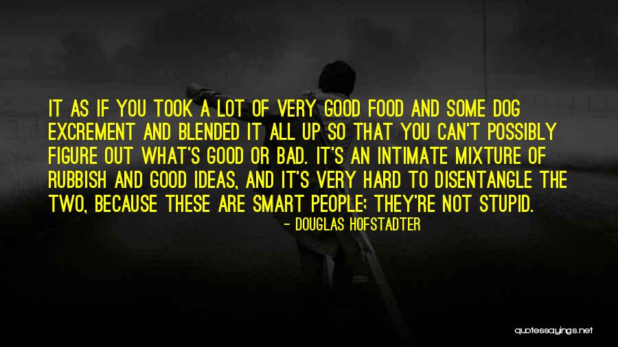 Douglas Hofstadter Quotes 1883725 Douglas Hofstadter Quotes 1883725
