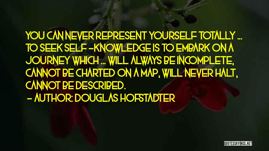 Douglas Hofstadter Quotes 936553