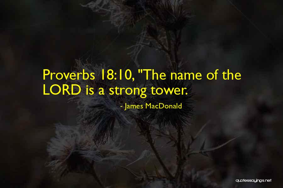 Douglas Vermeeren Quotes By James MacDonald