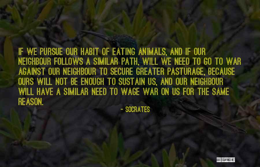 Doukkali Mohamed Quotes By Socrates Doukkali Mohamed Quotes By Socrates
