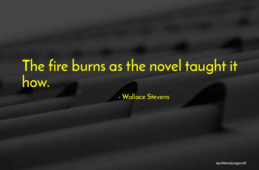 Doumbia Quotes By Wallace Stevens Doumbia Quotes By Wallace Stevens