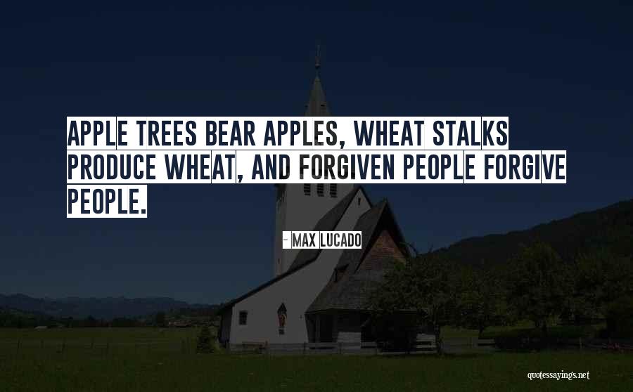 Dovada Finala Quotes By Max Lucado