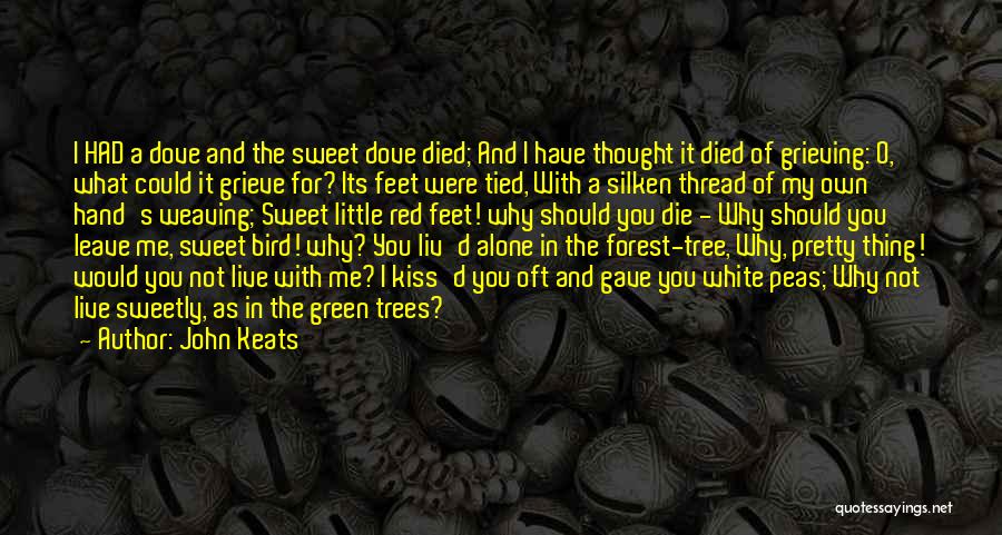 Dove Bird Quotes By John Keats