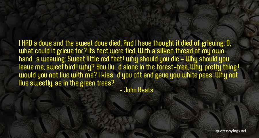 Dove Bird Quotes By John Keats