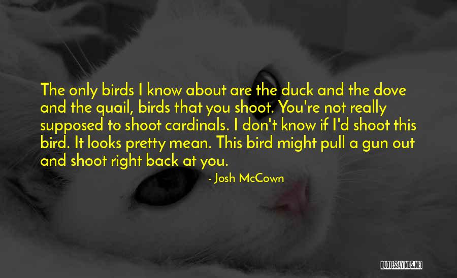 Dove Bird Quotes By Josh McCown