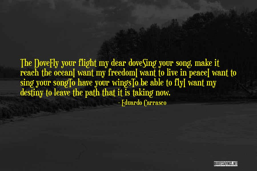 Dove Of Peace Quotes By Eduardo Carrasco Dove Of Peace Quotes By Eduardo Carrasco