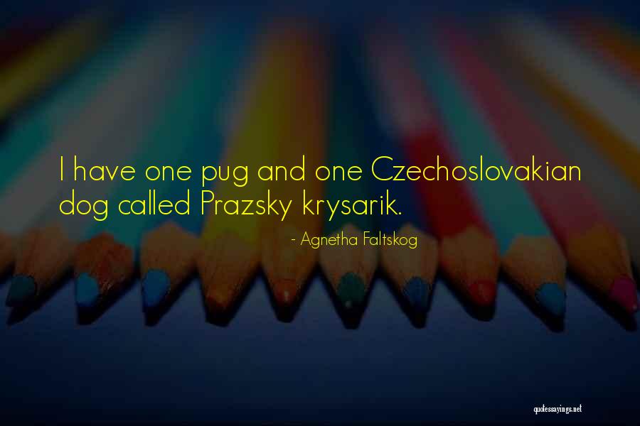 Dovepaw And Ivypaw Quotes By Agnetha Faltskog Dovepaw And Ivypaw Quotes By Agnetha Faltskog