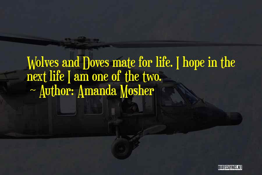 Doves And Life Quotes By Amanda Mosher