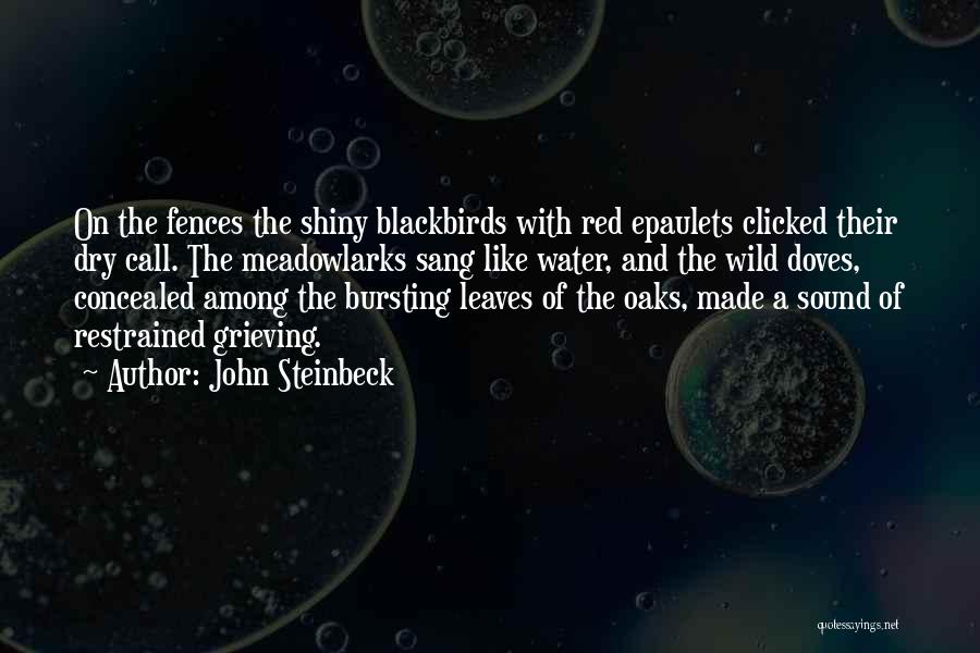 Doves Quotes By John Steinbeck