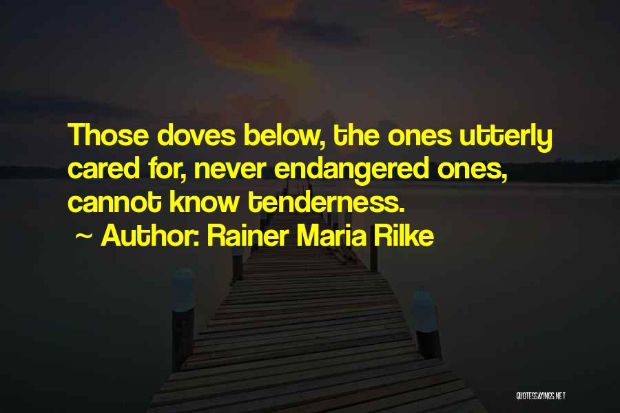 Doves Quotes By Rainer Maria Rilke