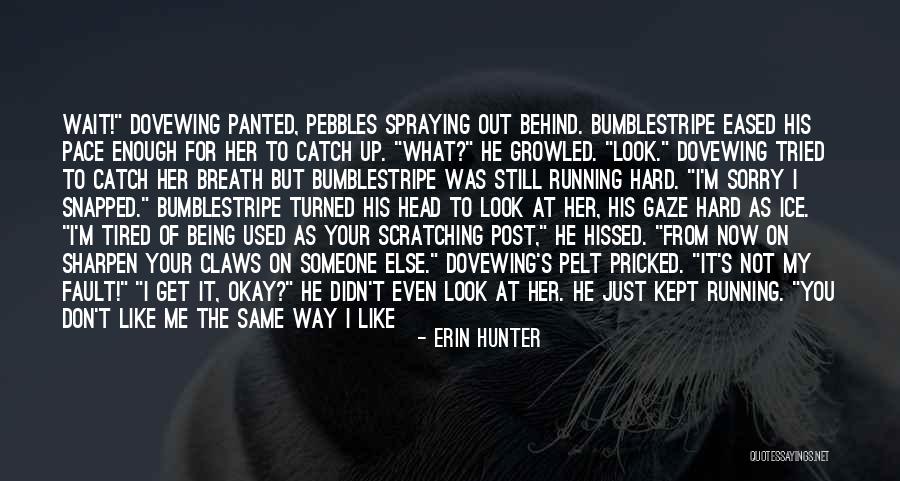 Dovewing And Bumblestripe Quotes By Erin Hunter Dovewing And Bumblestripe Quotes By Erin Hunter