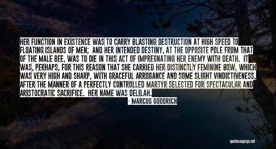 Dovewing And Bumblestripe Quotes By Marcus Goodrich Dovewing And Bumblestripe Quotes By Marcus Goodrich