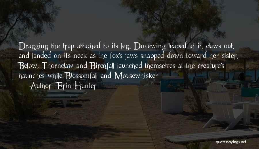 Dovewing Quotes By Erin Hunter