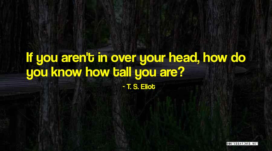 Dovlatov Street Quotes By T. S. Eliot Dovlatov Street Quotes By T. S. Eliot