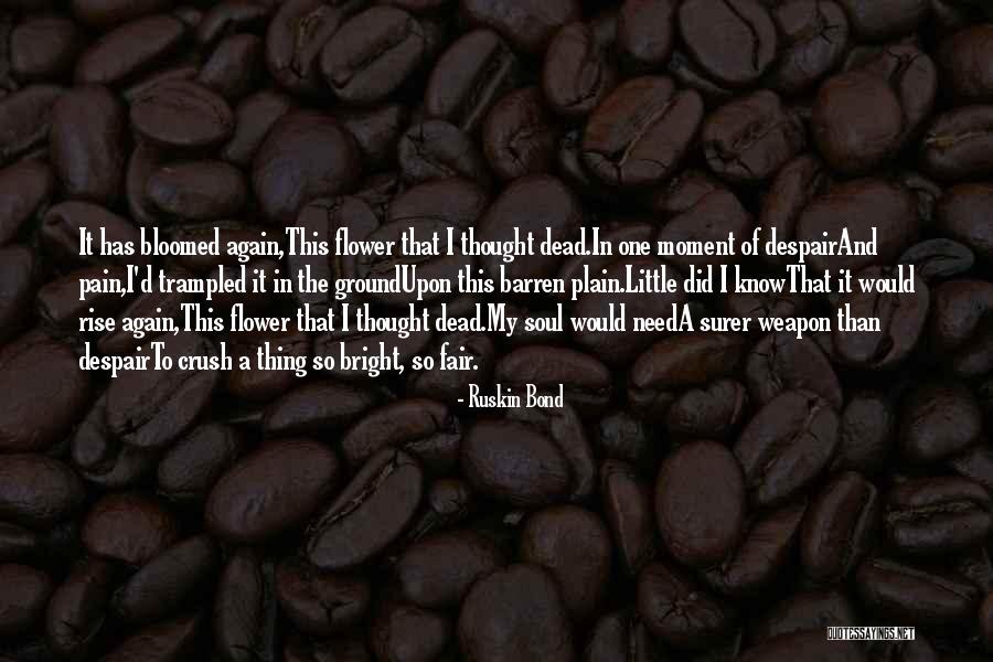 Dowcipy Quotes By Ruskin Bond Dowcipy Quotes By Ruskin Bond