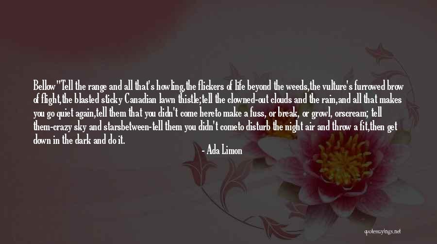 Down And Out Life Quotes By Ada Limon