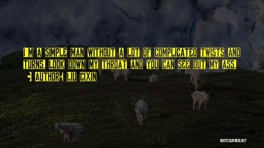 Down And Out Life Quotes By Liu Cixin