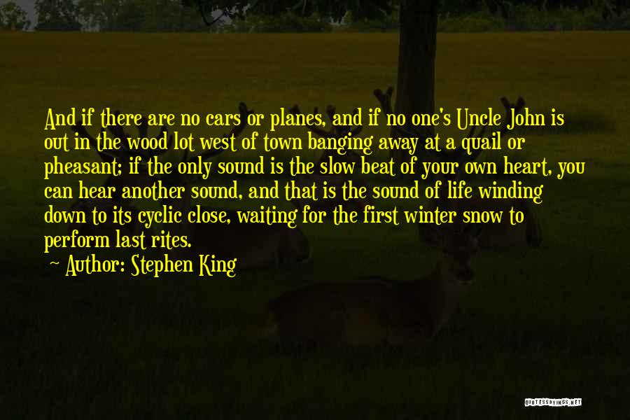 Down And Out Life Quotes By Stephen King