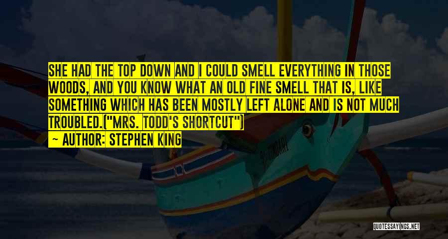 Down And Troubled Quotes By Stephen King