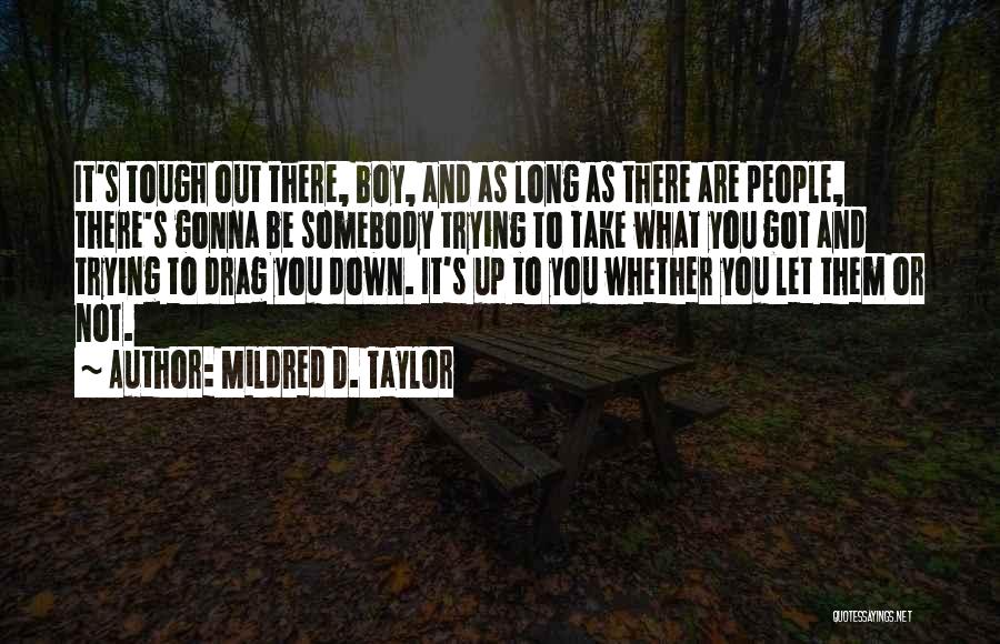 Down And Up Quotes By Mildred D. Taylor